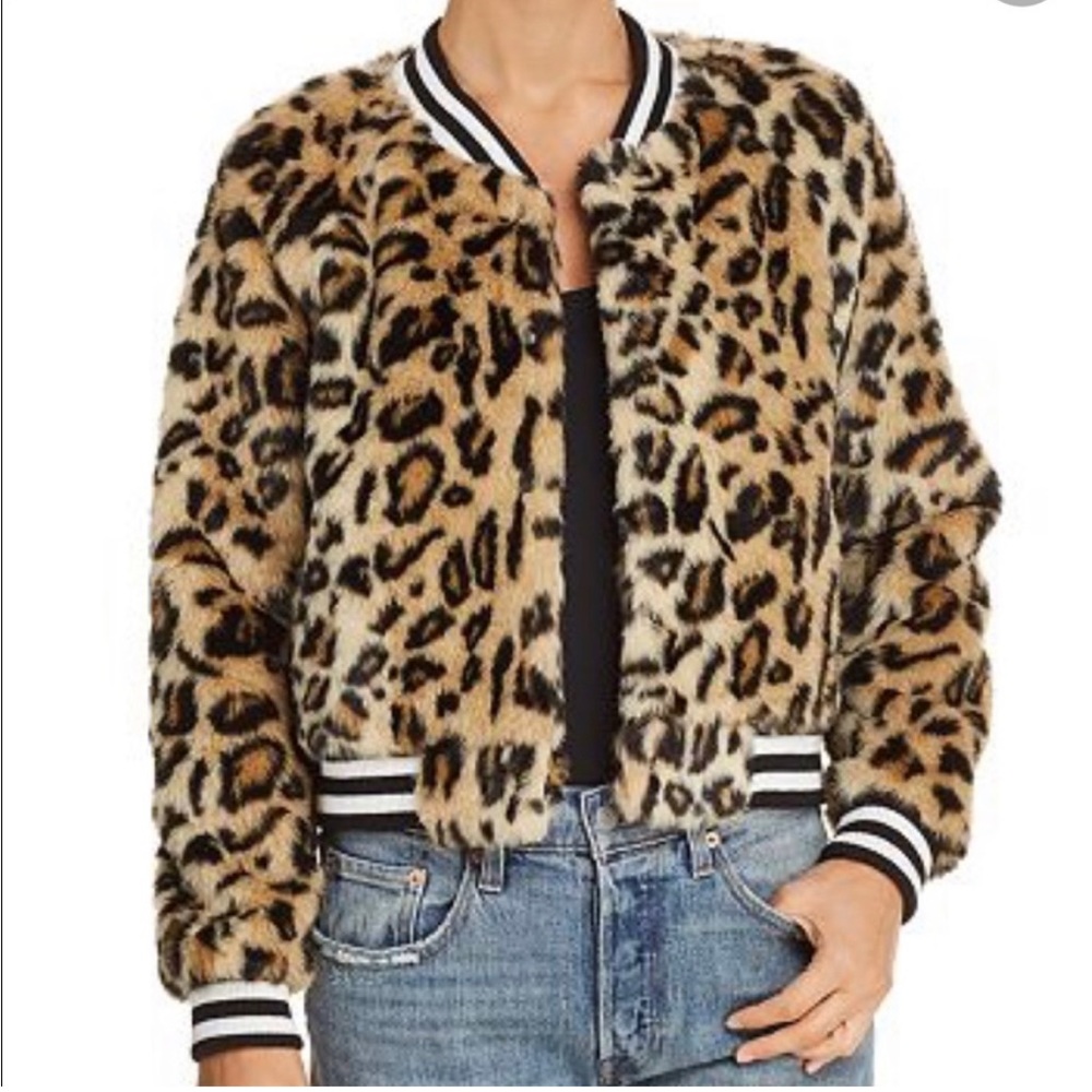 Leopard Jacket, BB Dakota, amazing condition.